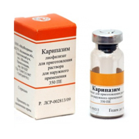 Карипазим лиофилизат для инъекций