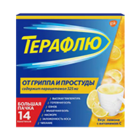 ТераФлю от гриппа и простуды порошок 22.1г 14шт