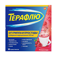 ТераФлю порошок 11.5г 10шт