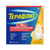 ТераФлю Экстра порошок 15г 10шт