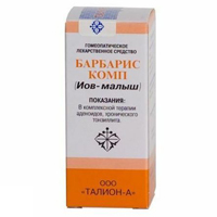 Барбарис комп гранулы 20г