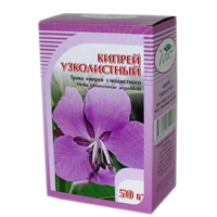 Кипрей узколистный (Иван-чай)